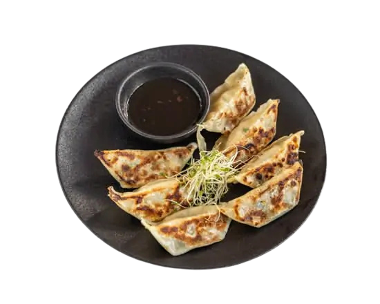 Pan-fried dumplings