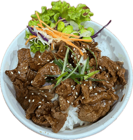 Teriyaki beef rice bowl with fresh salad